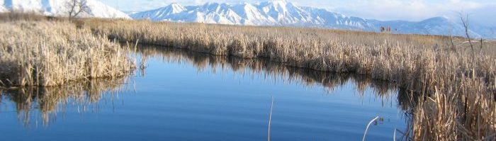 Photo of wetlands in Utah