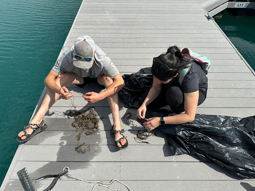 Monitoring vegetation from Bear Lake on a dock.