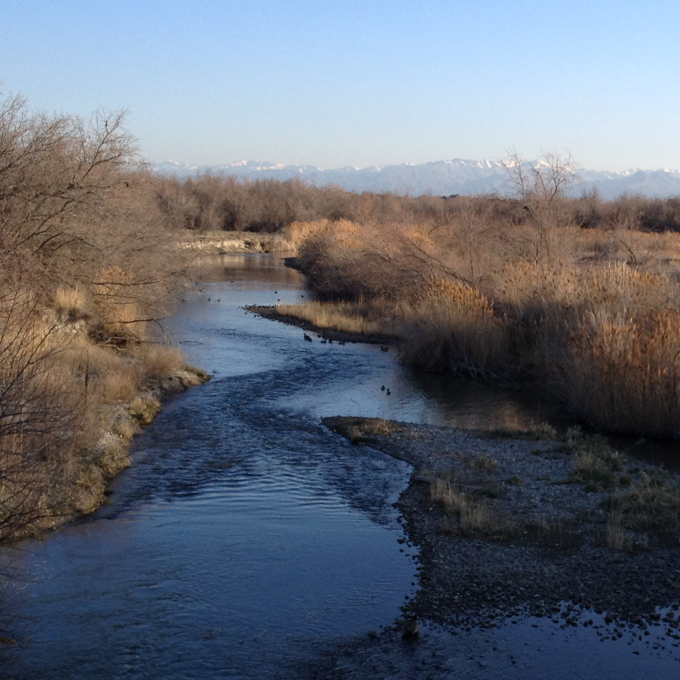 Bear River